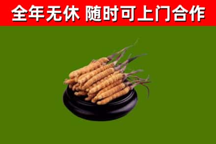 防城港烟酒回收冬虫夏草.jpg