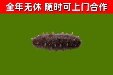 防城港烟酒回收干海参.jpg